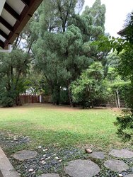 Ban Guan Park (D10), Detached #482634591